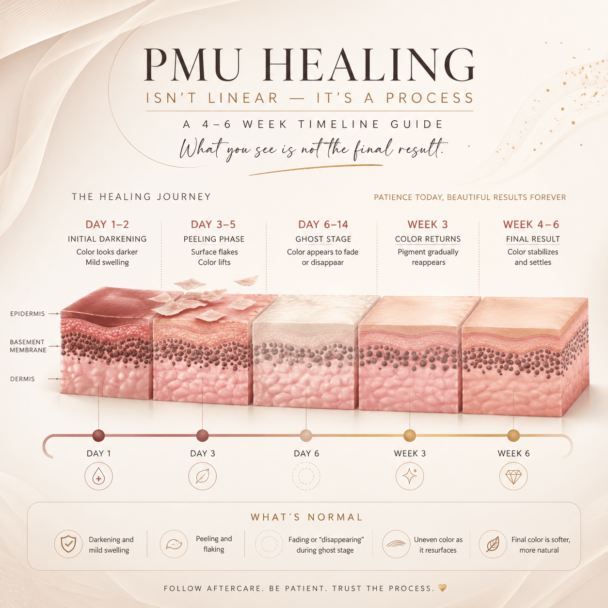 PMU healing stages timeline showing a 4–6 week recovery process with gradual pigment fading, peeling, ghost stage, and final healed result in a clean luxury infographic style.