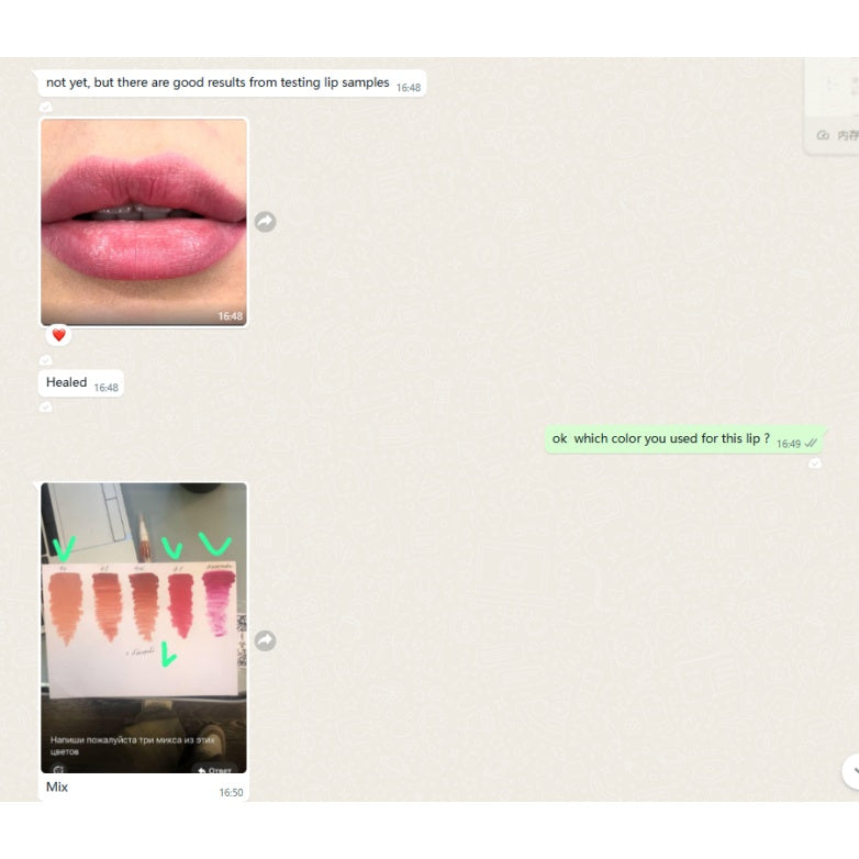 YDPMU Powder Lip Enhancer Pigment Set