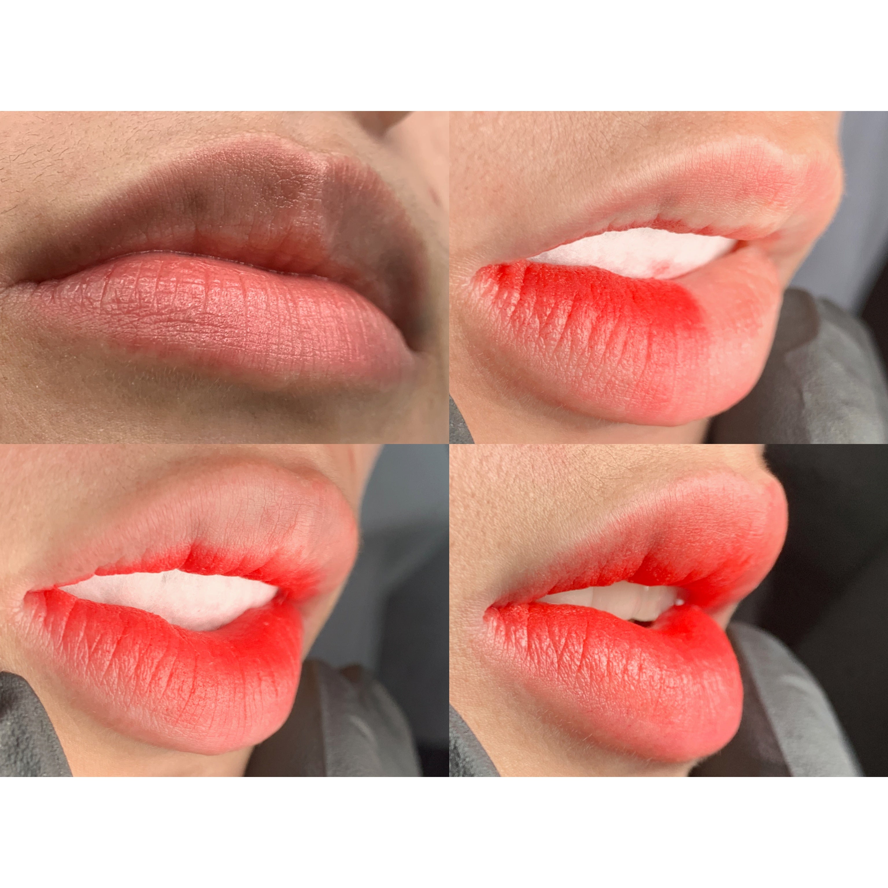 YDPMU NEO Organic Lip Blushing Pigment Set
