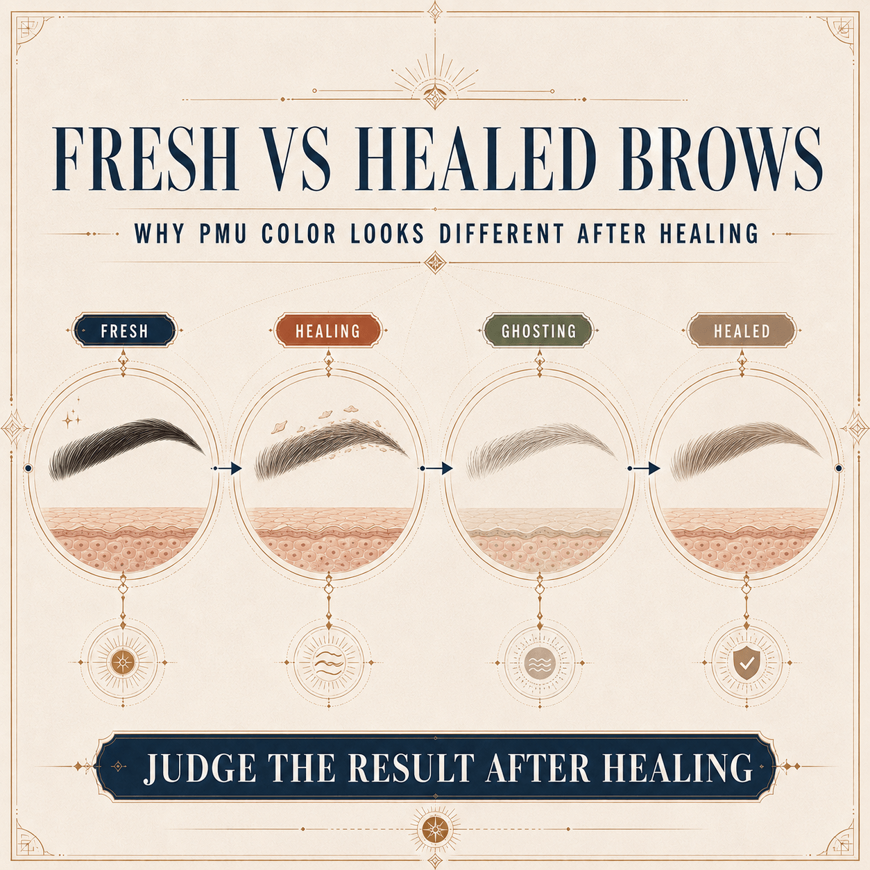 Fresh vs healed permanent makeup brows showing the PMU color healing stages