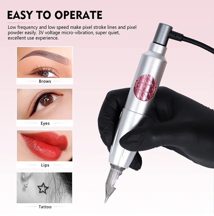 YDPMU Blink Power Permanent Makeup Machine Professional Kits