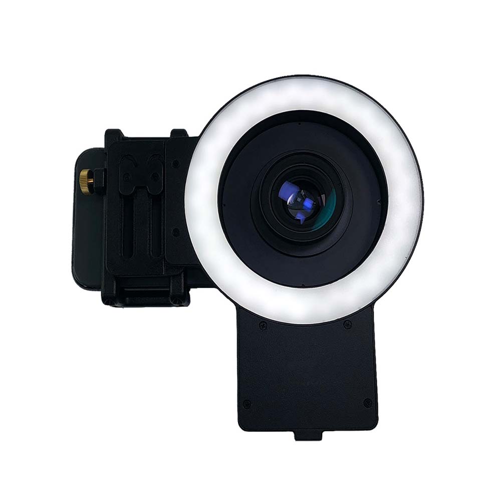 Beauty Plus Lamp