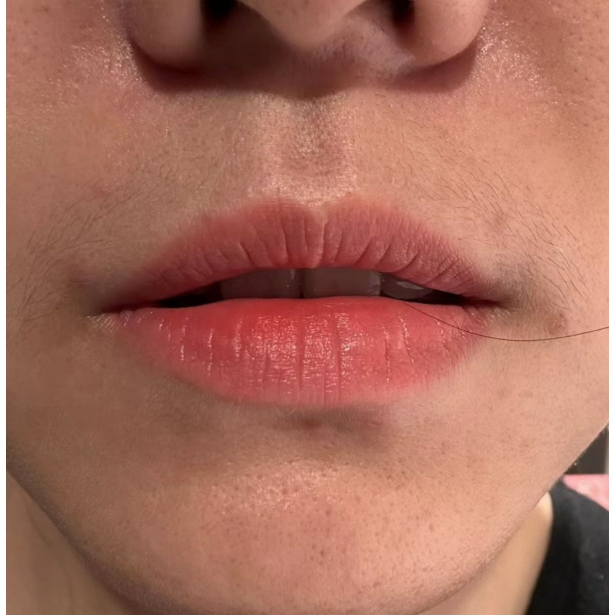 YDPMU NEO Organic Lip Blushing Pigment Set