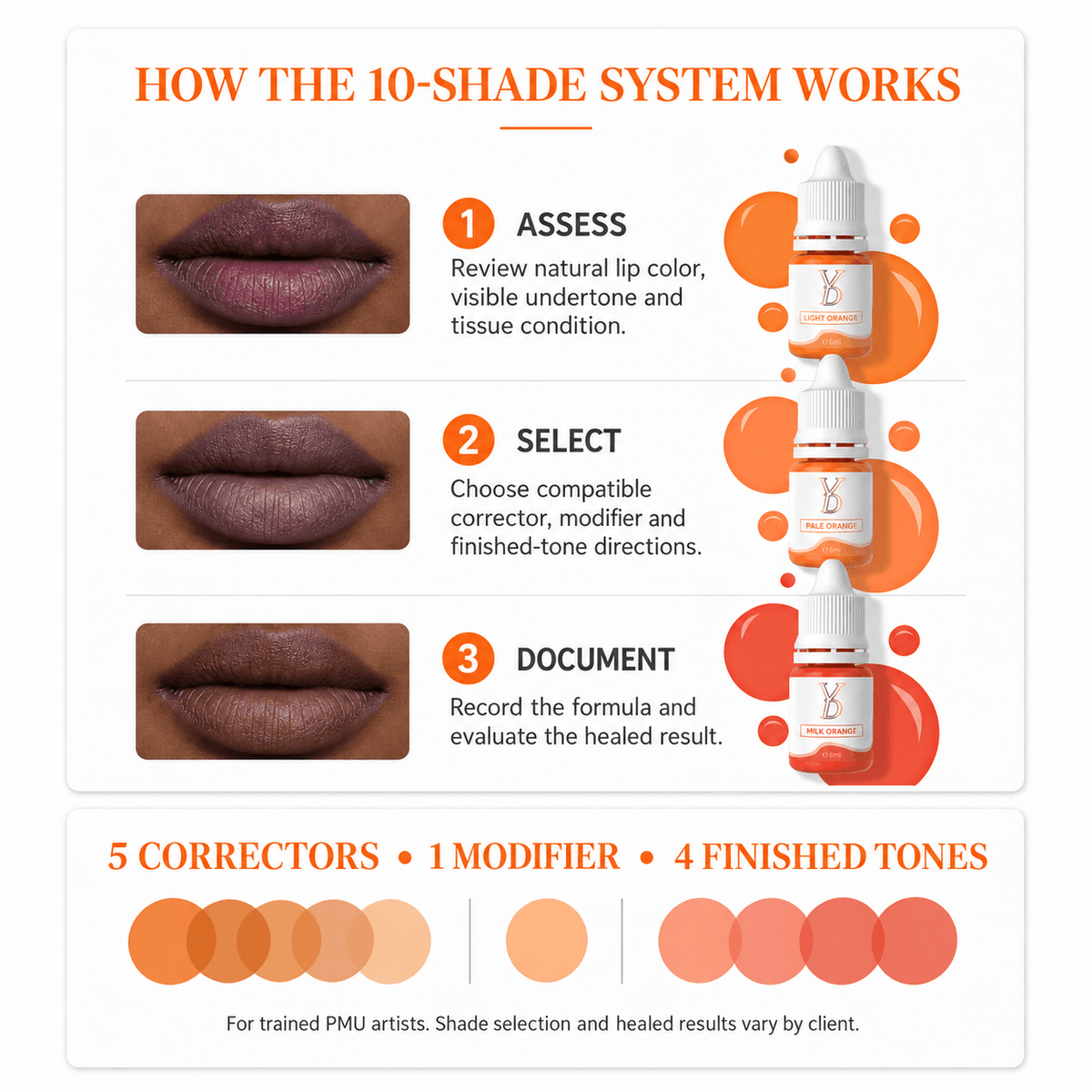 Professional workflow and shade structure of the YDPMU NEO Organic 10-shade dark lip pigment system