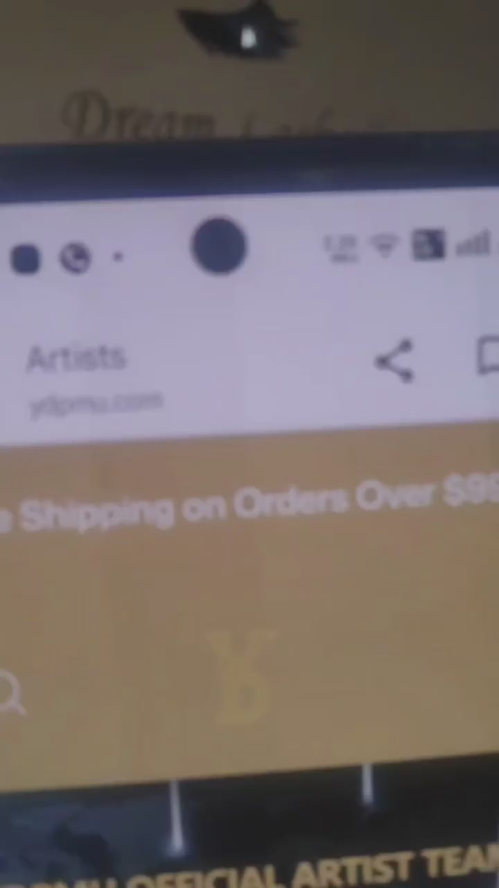 Video preview